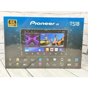 Pioneer.up TS18