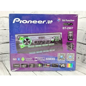 Pioneer.up BT2907